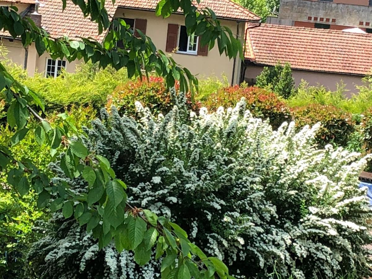A O Soa B&B Savignone ภายนอก รูปภาพ